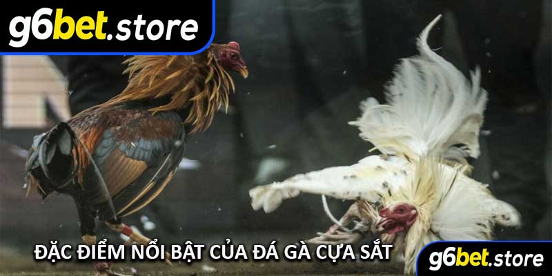 Đặc Điểm Nổi Bật Của Đá Gà Cựa Sắt